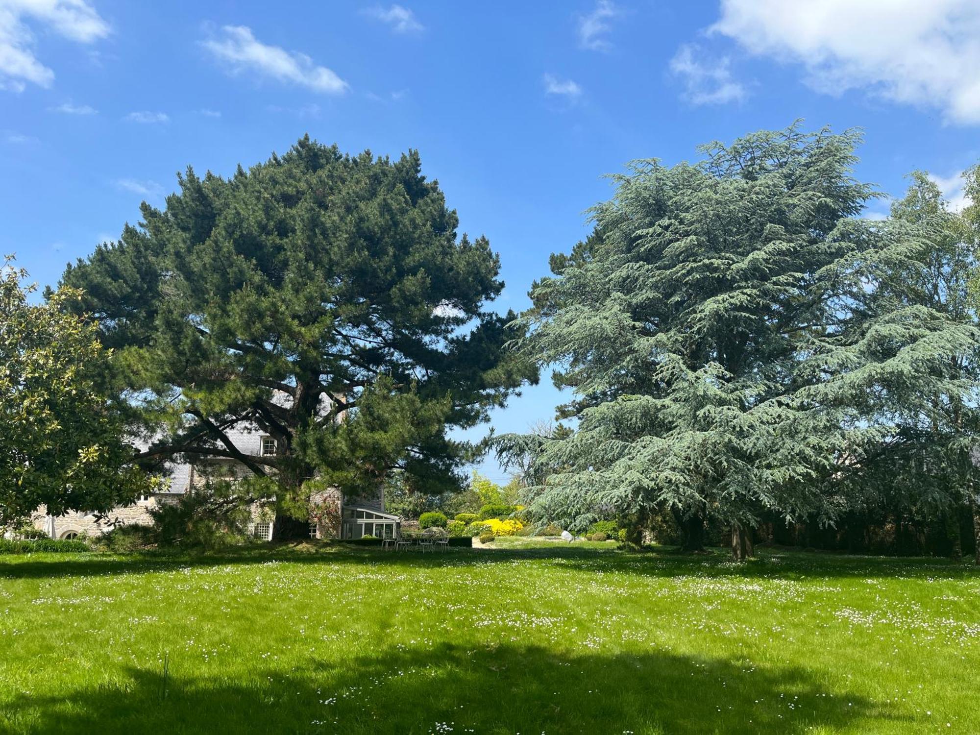 Manoir Des Bords De Rance Bed & Breakfast Plouër-sur-Rance Екстериор снимка