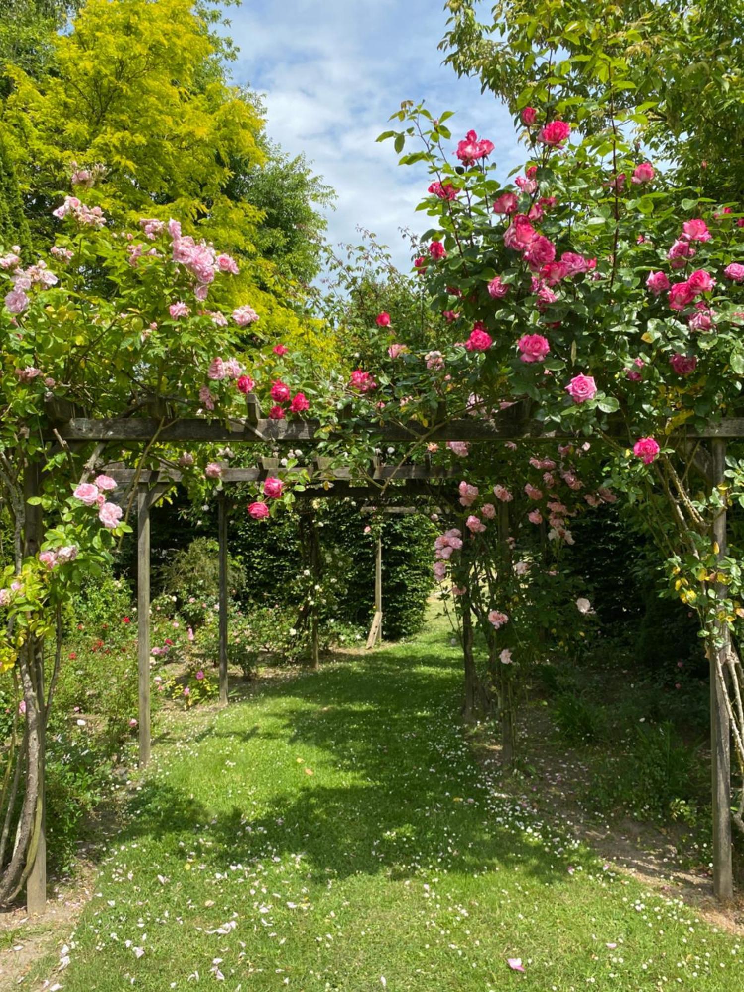Manoir Des Bords De Rance Bed & Breakfast Plouër-sur-Rance Екстериор снимка