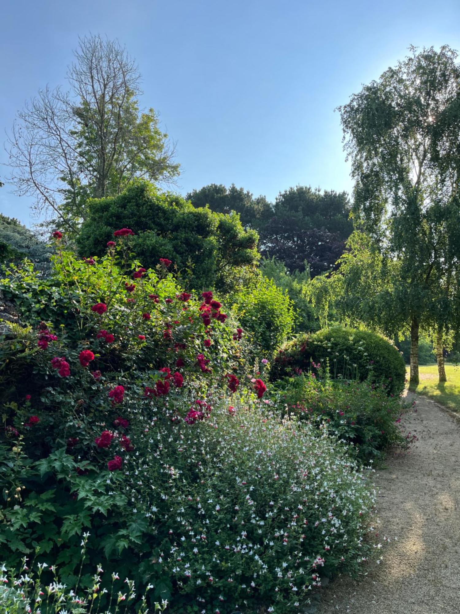 Manoir Des Bords De Rance Bed & Breakfast Plouër-sur-Rance Екстериор снимка